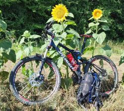 VTT-39710