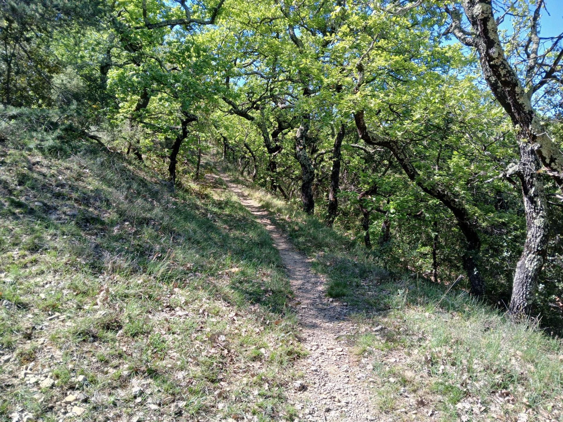 Villeneuve-de-Berg - Voie royale et single-tracks