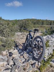 VTT-39778