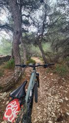 VTT-39739