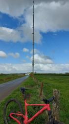 VTT-39755