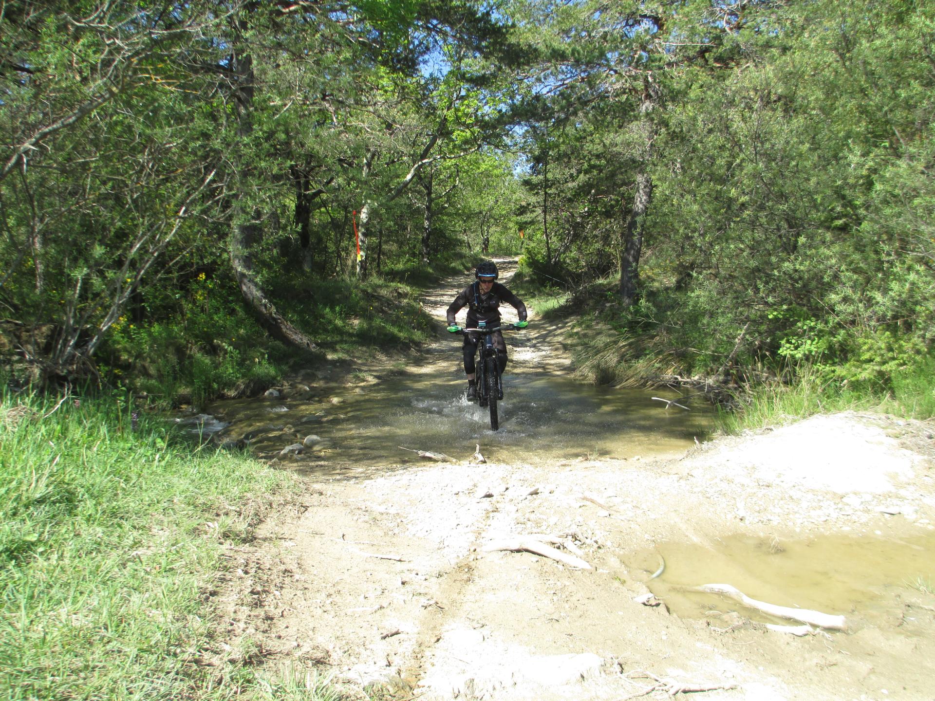 Saint-Etienne-les-Orgues - Sommet de Lure et descente enduro