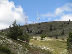VTT-39834