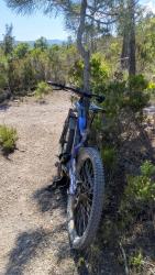 VTT-39901