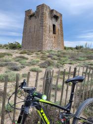 VTT-39976