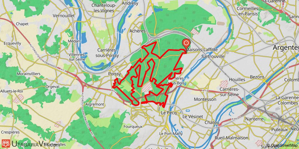 Tournicotis en forêt de Saint-Germain - Version 2