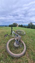 VTT-40353