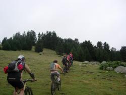 VTT-40368