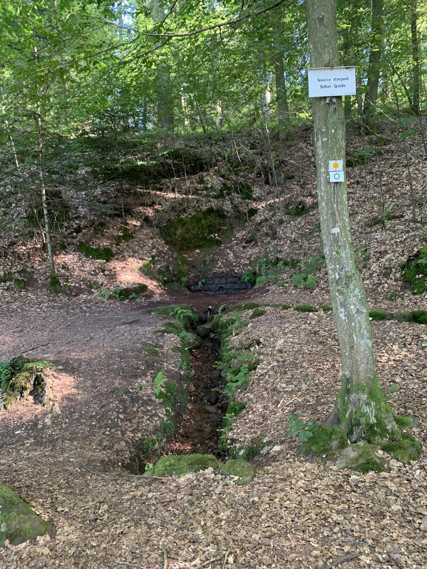 Boucle depuis le camping Koawa à Ramstein Plage