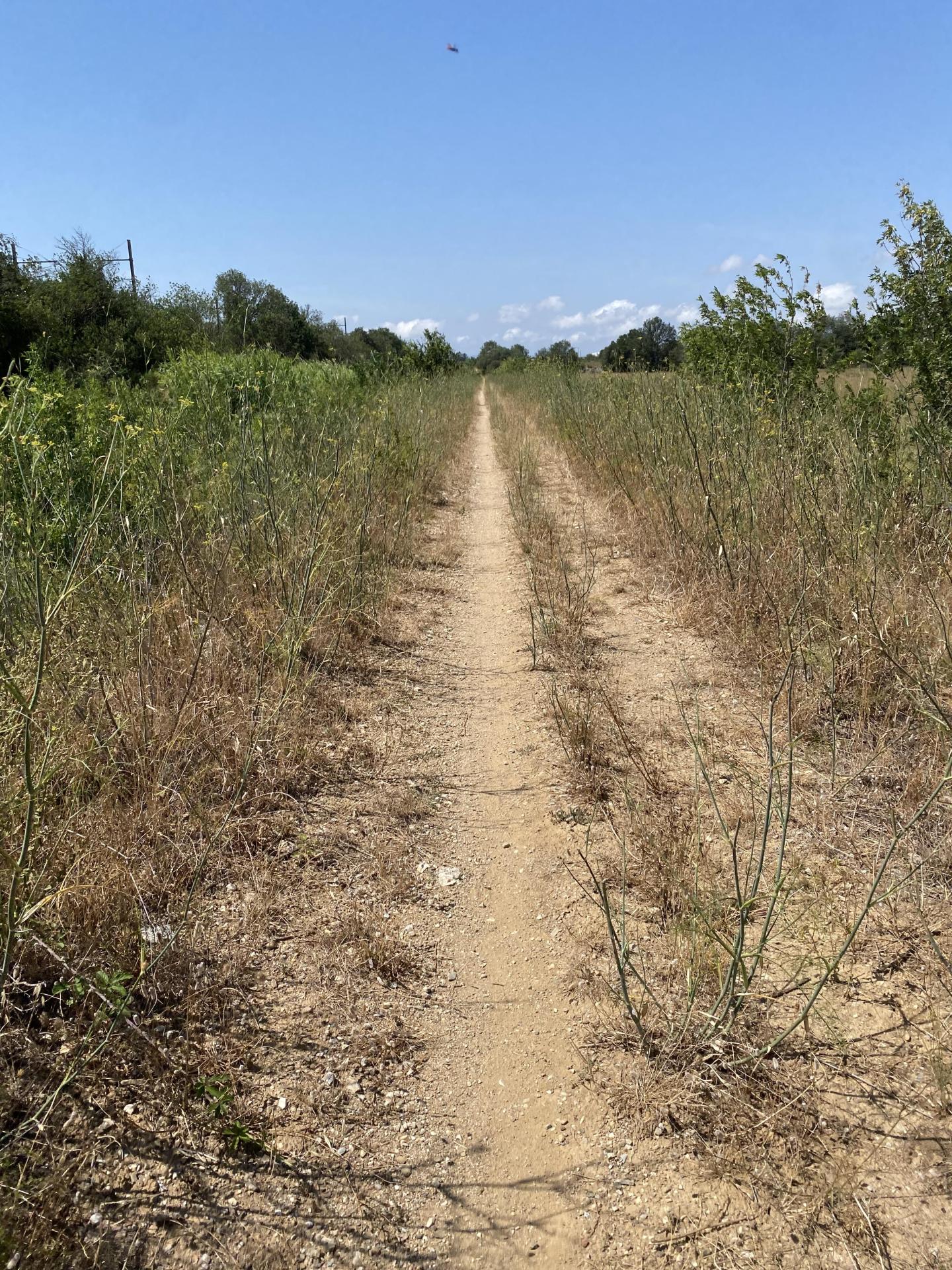 Parcours dans les vignes de Canet