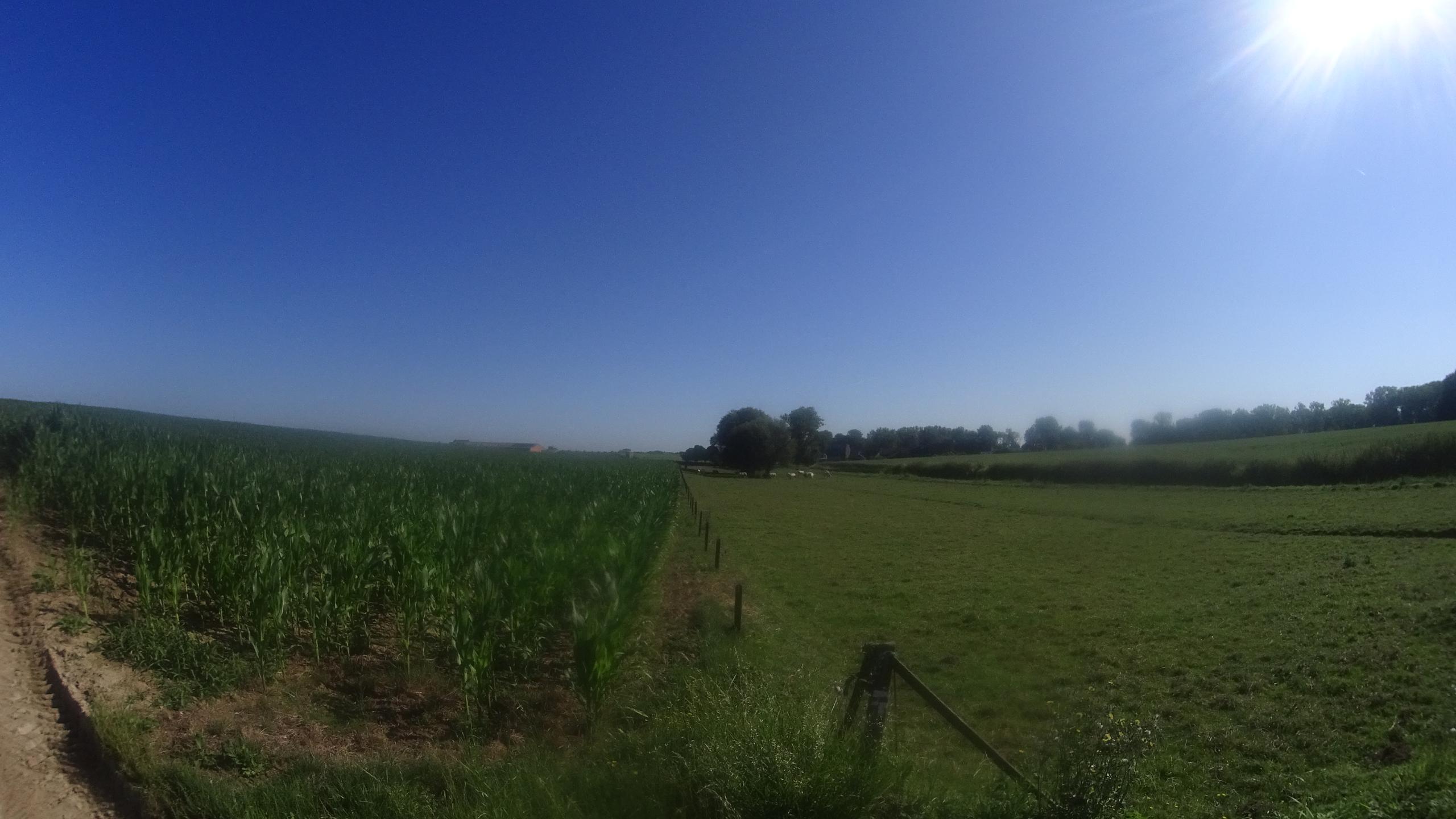 Entre Heppignies et Villers-la-Ville