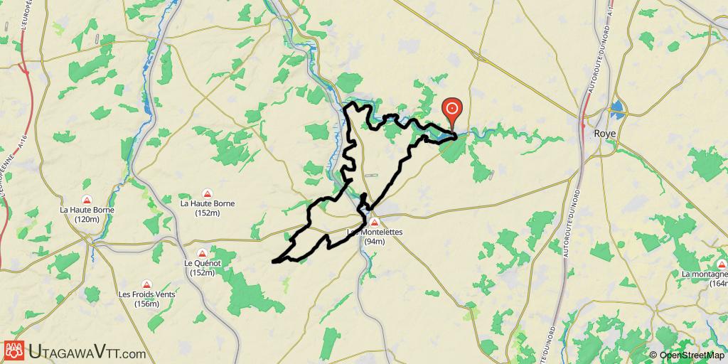 Warsy 2010 - 50 km