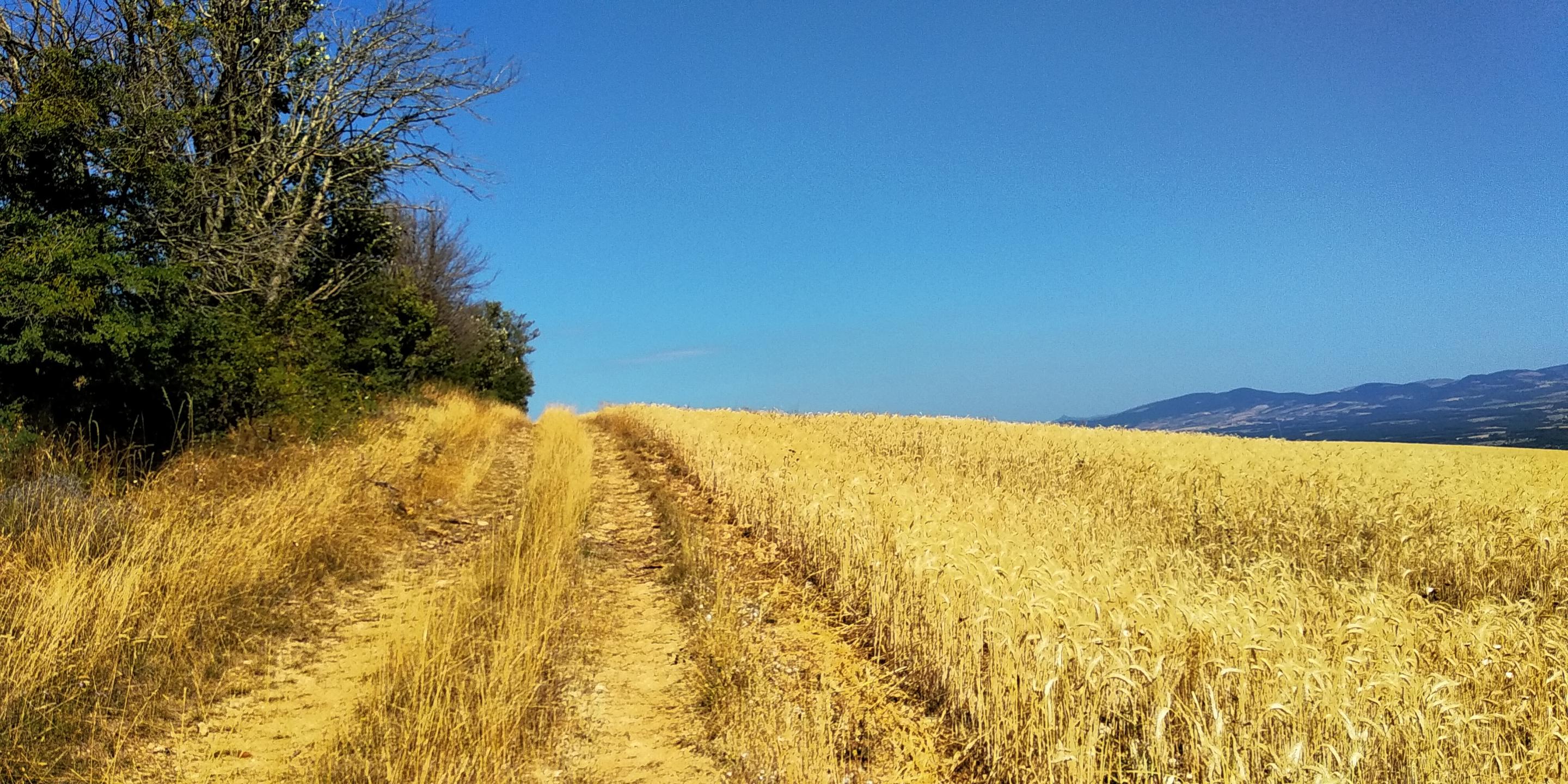 Simiane-la-Rotonde - Vallon des Bombouyes - Saint-Christol