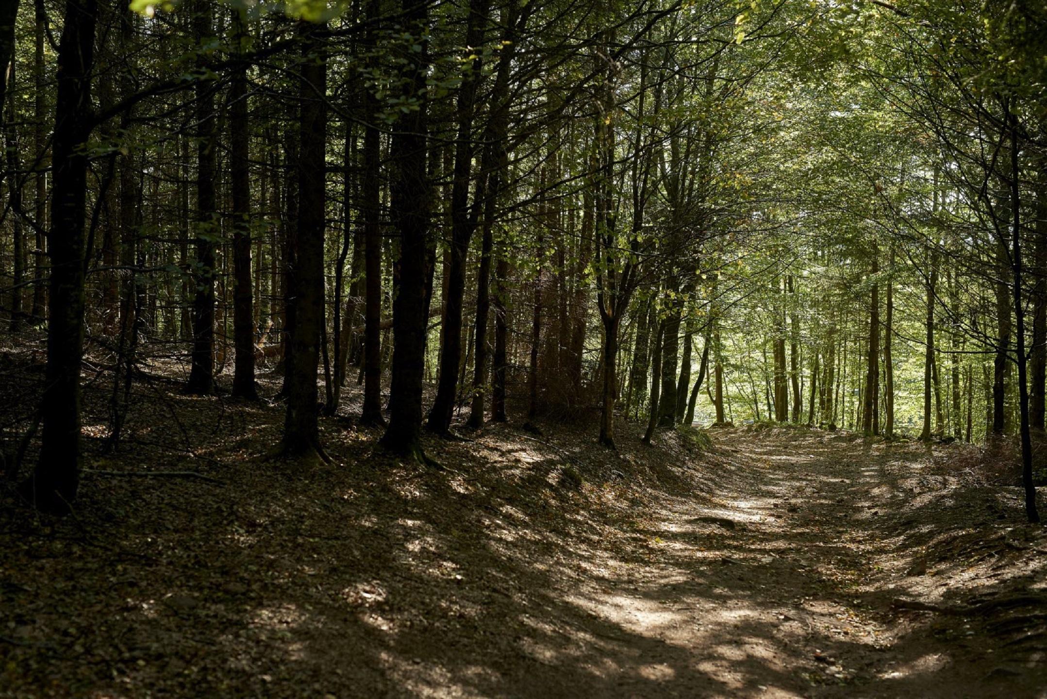 Forêt de Valleret et Saint-Seurin
