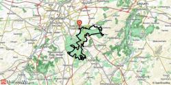 Marathon XL de la forêt de Soignes
