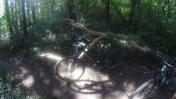 VTT-40882