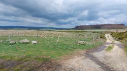 Paysage des Monts d'Aubrac