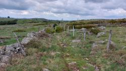 Paysage des Monts d'Aubrac