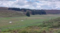 Paysage des Monts d'Aubrac