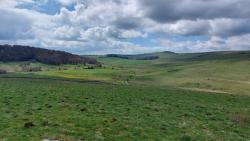 Paysage des Monts d'Aubrac