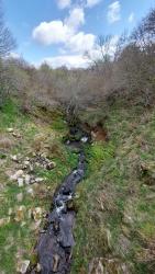 Ruisseau en Aubrac