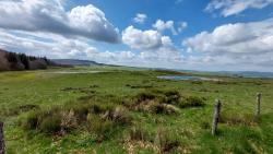 Paysage des Monts d'Aubrac