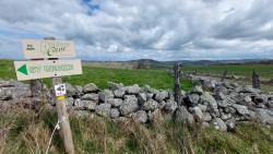 Paysage des Monts d'Aubrac