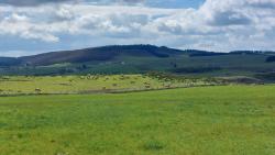 Paysage des Monts d'Aubrac
