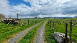 Paysage des Monts d'Aubrac
