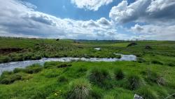 Paysage des Monts d'Aubrac