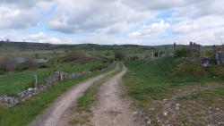 Paysage des Monts d'Aubrac