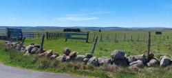Paysage d'Aubrac, blocs de granit