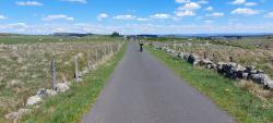 Paysage d'Aubrac, bloc de granit