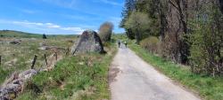 Paysage d'Aubrac, bloc de granit