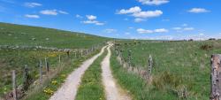 Paysage d'Aubrac