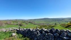 Paysage d'Aubrac