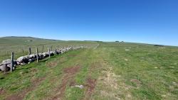 Sur le GRP du Tour des Monts d'Aubrac