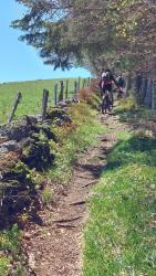 Joli single sur le GRP du Tour des Monts d'Aubrac