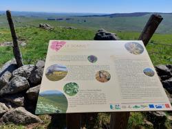 Sur le GRP du Tour des Monts d'Aubrac