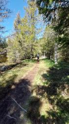 Site de la tourbière de la Vergne Noire