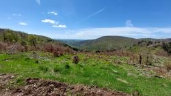 Paysage des Monts d'Aubrac