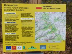 GRP, Forêt Communale de Condom d'Aubrac