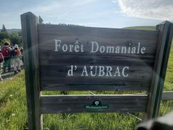 Forêt Domaniale d'Aubrac, Croix du Triadou