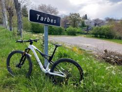 Tarbes
