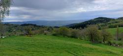 Paysage brumeux