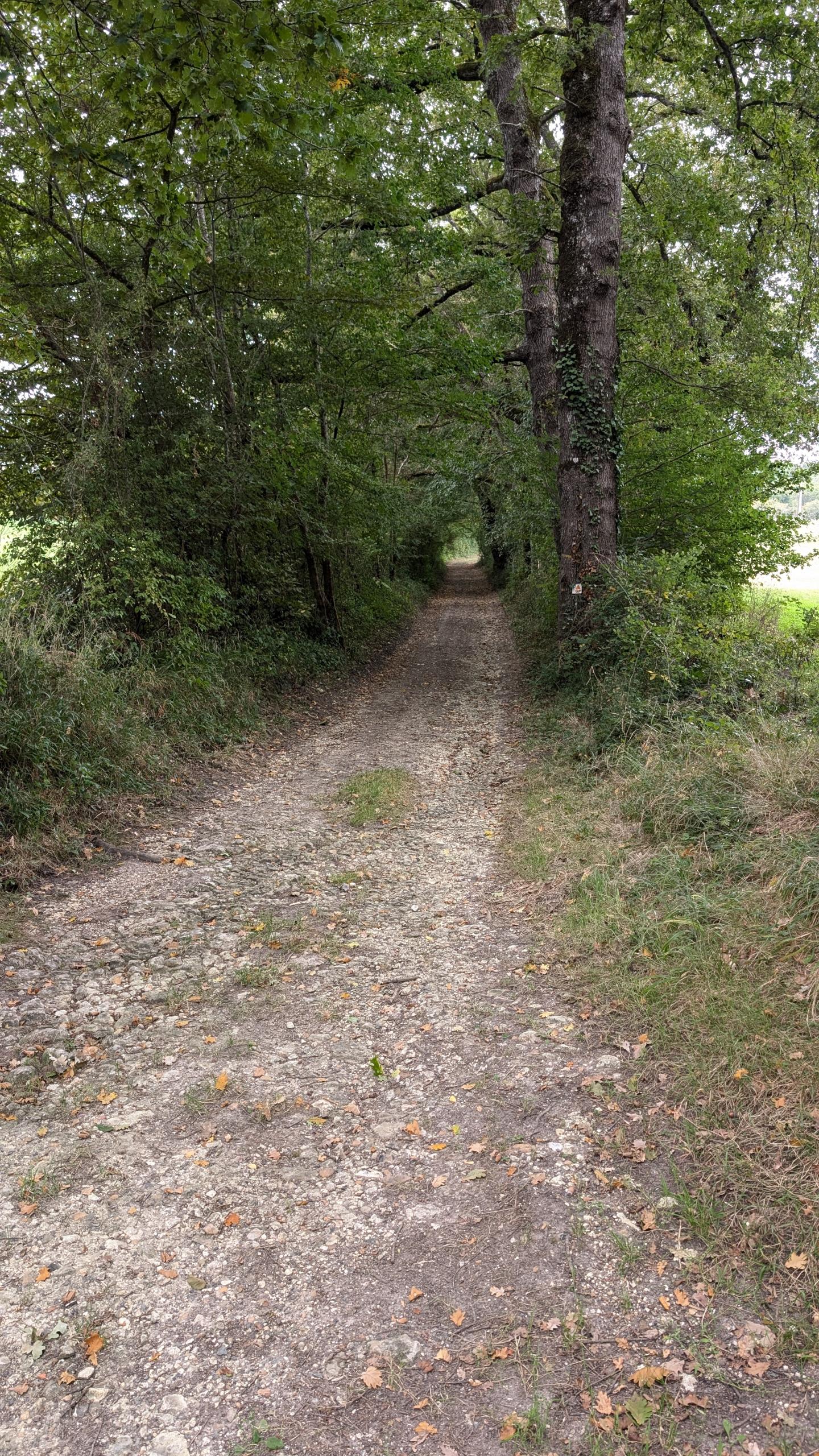 Autour de Tocane-Saint-Apre