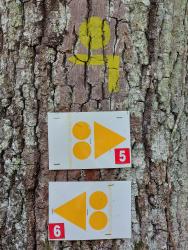 Balises VTT-FFCT