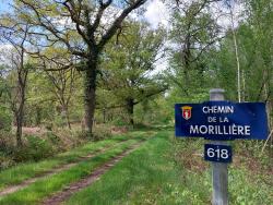 Chemin de la Morillière