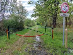 Chemin herbeux