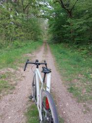 Sur le Chemin du Blanc Argent (ancienne voie ferrée)